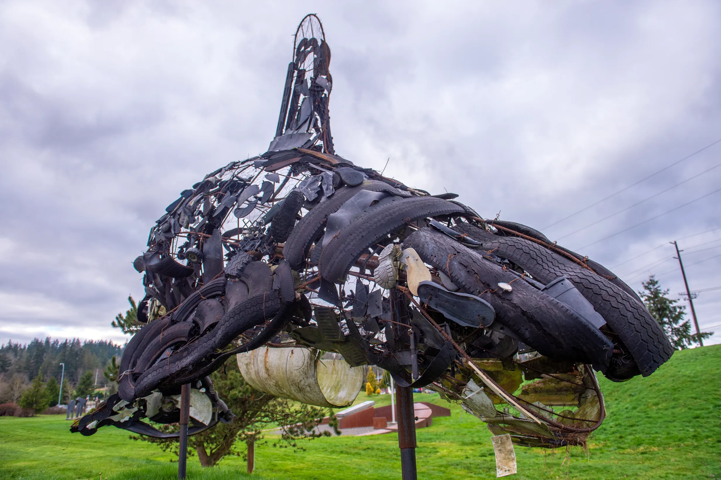 Greyson the Whale — photo 4