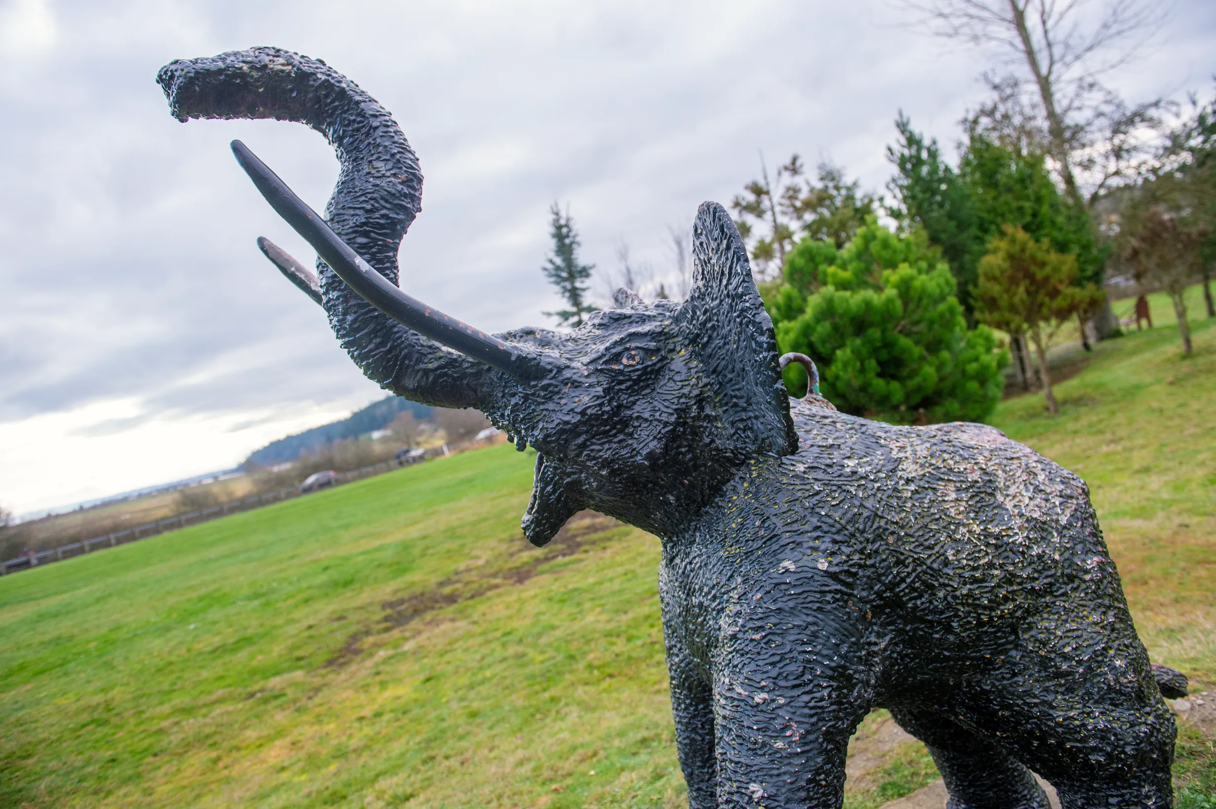 Lisa the Elephant — photo 2