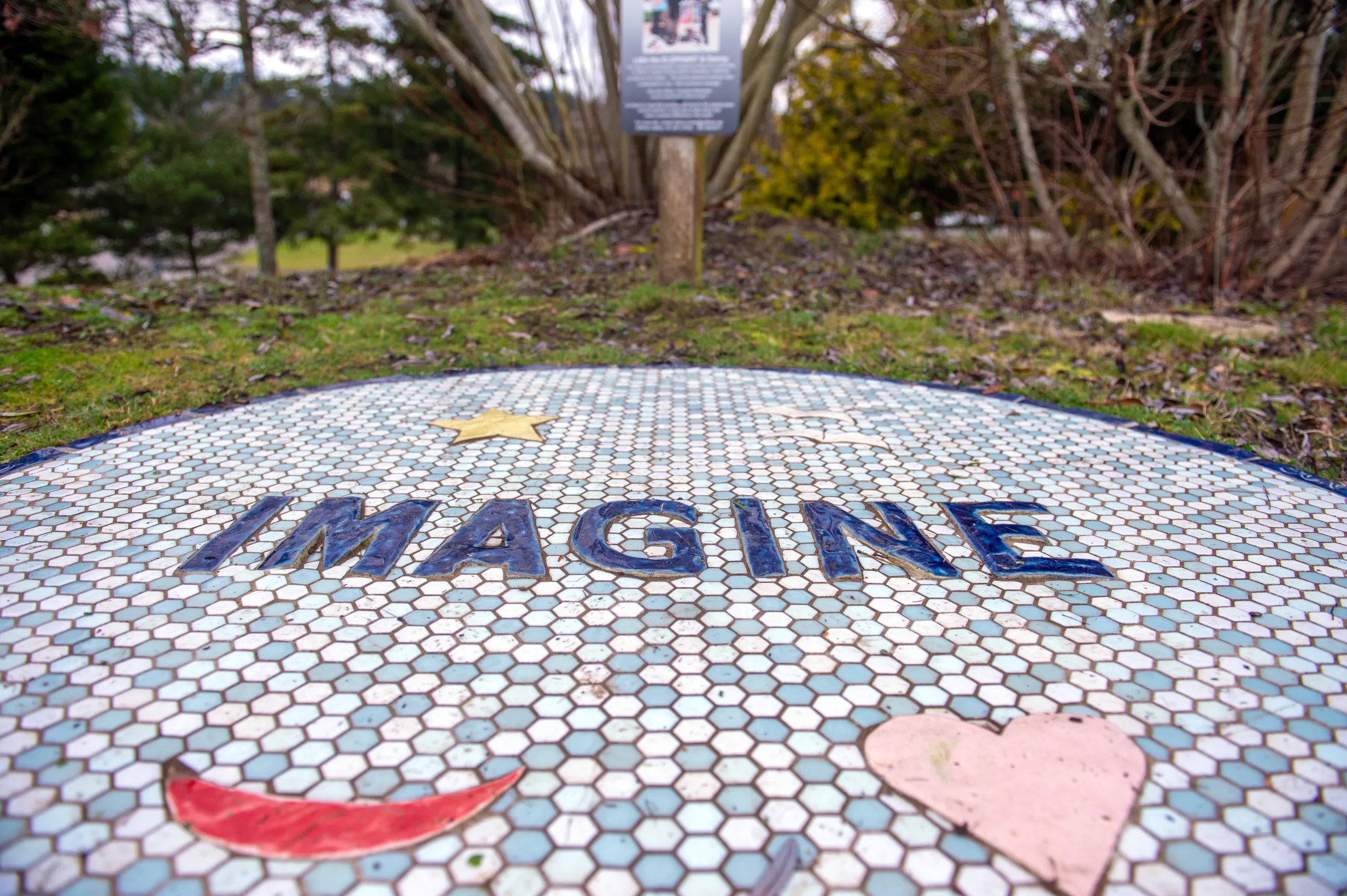 IMAGINE — photo 2