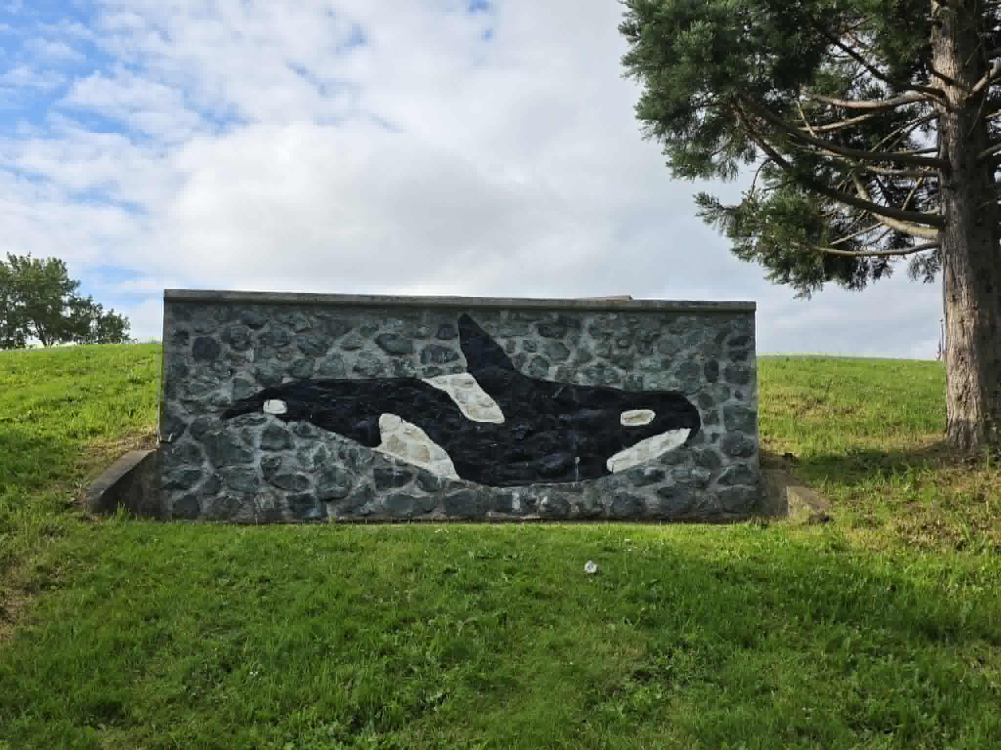 ORCA — photo 2